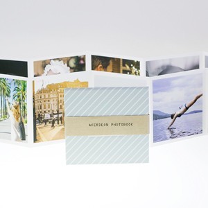 Akordeon Foto Kitaplar
