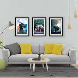 3 Çerçeveli Tablo Seti - Fil Fotoğrafları