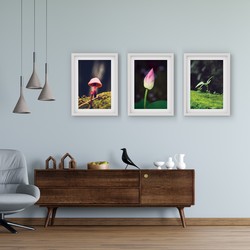 3 Çerçeveli Tablo Seti - Doğa Portreleri