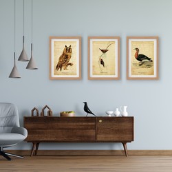 3 Çerçeveli Tablo Seti - Vintage Kuşlar