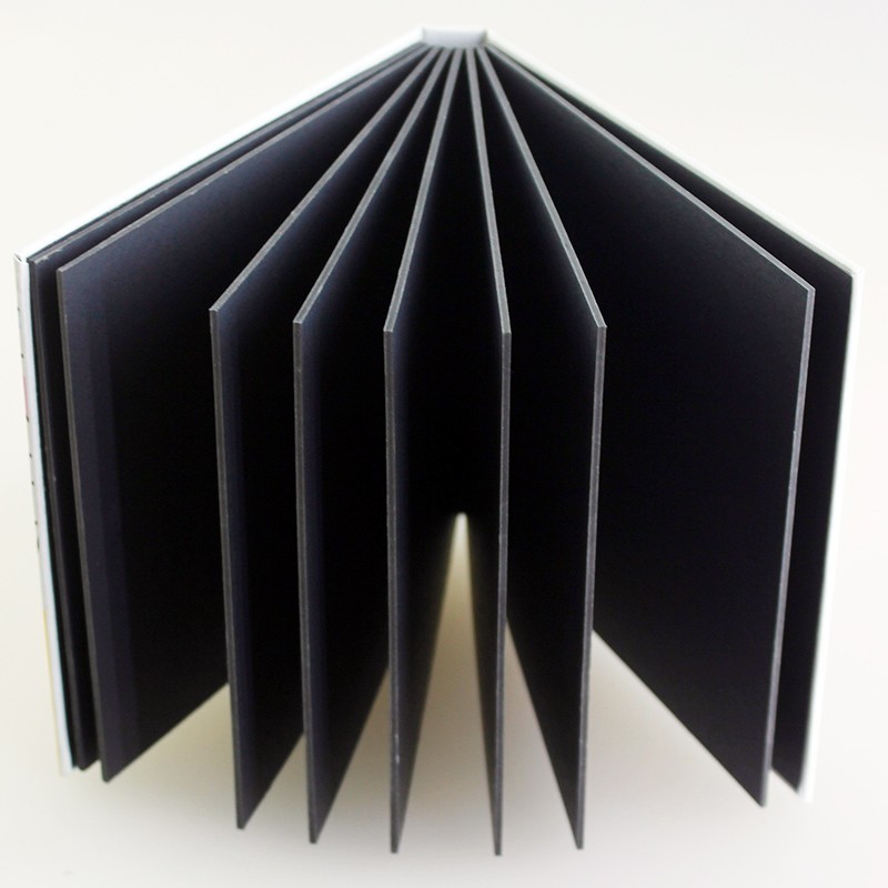 Şık Fotoğraf Albümü 16x16.5