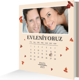 Takvimi İşaretleyin