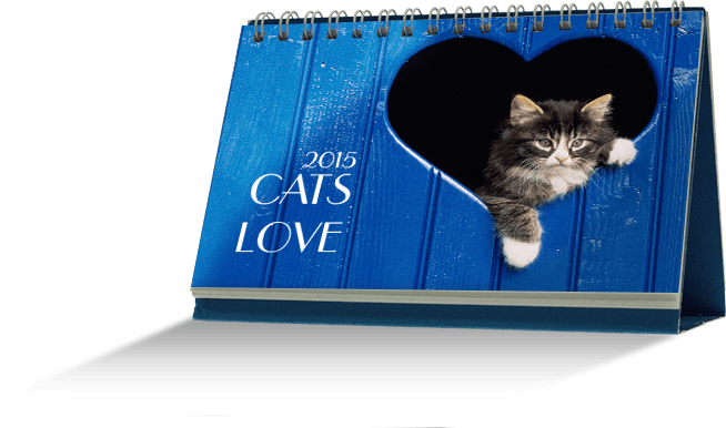 Cats Love | Kedili Takvim | Hediye Takvim